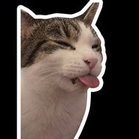 âm thanh gốc - qhqv2208