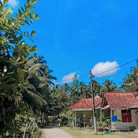 suara asli - shantyRH247