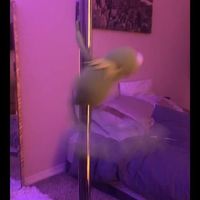 original sound