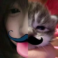 grace_ggr