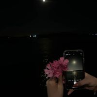 lou_laa__