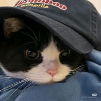 original sound - Yue