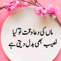 hamid_ss1