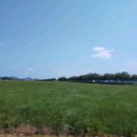 オリジナル楽曲 - ゆめと