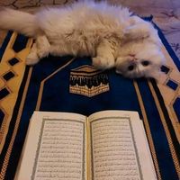 ff_atmah105