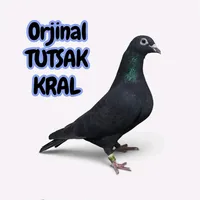 original sound - tutsakkral27.63