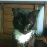 baikhari441gmaol.com