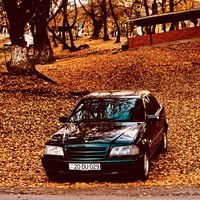 anar__029