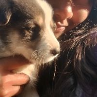 pallabi_ch