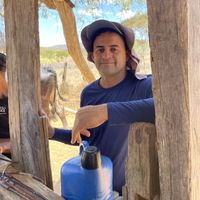 dadau_imagens_e_videos