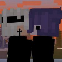 soli_2013_xd02