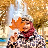 modhu_pie