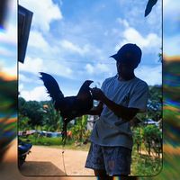 suara asli - Martin Martin