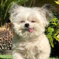 original sound - อ่ะจิ้มน้ําจุ้ม อ่ะจุ้มน้ําจิ้ม