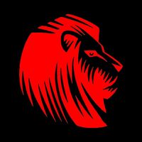 leonesdebarrio