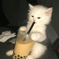 original sound - hujandij4nuari