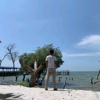 suara asli