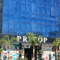 pritop31