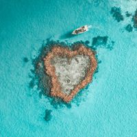 hamiltonisland