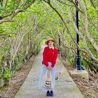 nhạc nền - Hoa La Ca