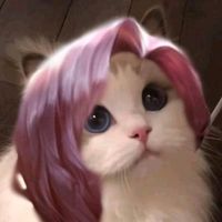 mtk_dg