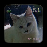 suara asli - Ulfaaaaa