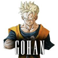 gohan22080