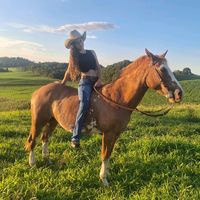 apaixonadapor_cavalos10