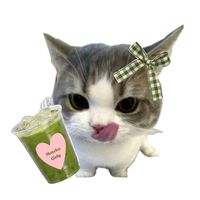 suara asli - n  for  nentii