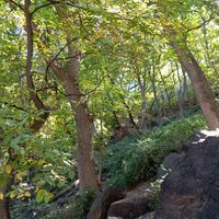 nemidyazahrigmail.com2