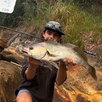 jw_fisho