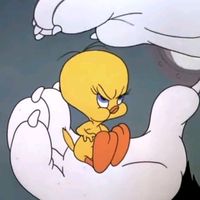 ityourkkq