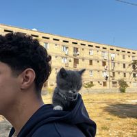 оригинальный звук