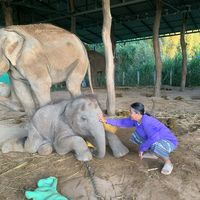เสียงต้นฉบับ - พังแตงโมน้องซันเดย์