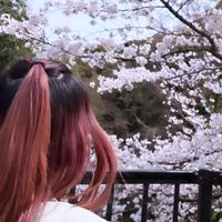 オリジナル楽曲 - 🥀なぎ🦋🎧🥀