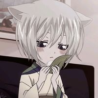 user4414355515344