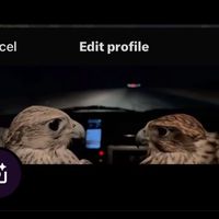 الصوت الأصلي