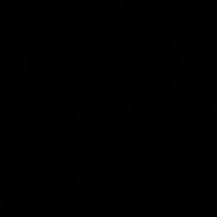 _rafaell2405