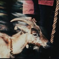dior2dior1
