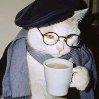 original sound - ymm921