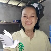 cresenciapacana7gamil.co