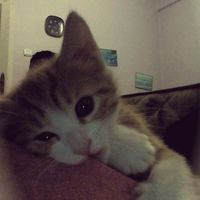 itz_me_amber9