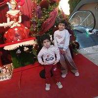 taze0406