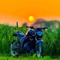 fz_saim