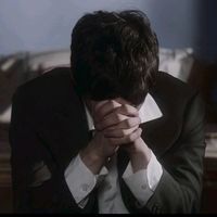 قناديل البحر