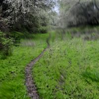 orijinal səs