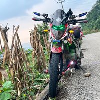 chucky.gn35