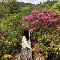 original sound - rachulama