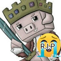 p4i7c3