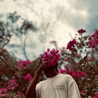 nisansala_quotez